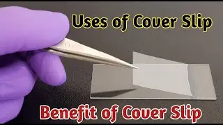 Cover Slip uses | Uses of cover slip