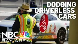 School crossing guards say they've had to dodge driverless cars to avoid being hit