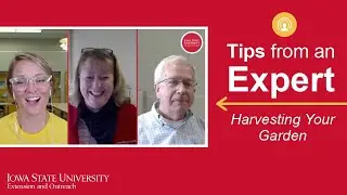 Tips from an Expert: Harvesting Your Garden