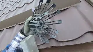 Drain Leaf Guard