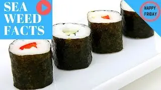 Seaweed facts and information
