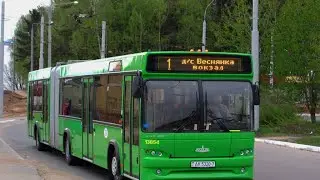 Поездка в автобусе МАЗ-105.465,г/№ АК 5320-7,марш.30ас