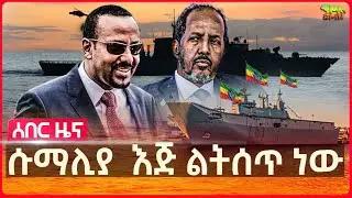 Ethiopia: ሱማሊያ በይፋ አመነች | “ኢትዮጵያ ጦሯን ይዛ ቀይ ባህር ትገባለች” | በመላው ዓለም ሰልፍ ጠራች | “ከኢትዮጵያ ጀርባ ስውር እጆች አሉ”