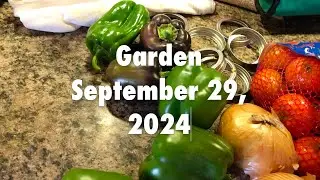 Garden September 2024