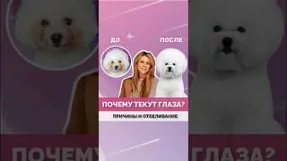 Почему у собак текут глаза? Полный ролик уже на канале, переходи смотри!