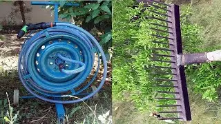 2 Amazing Ideas for Your Garden: Attract Admiring Eyes