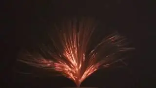 Len Lye's Firebush