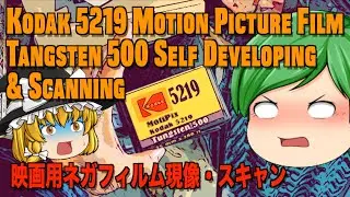 @207 Kodak 5219 Motion Picture Film Self Developing & Scanning コダック映画用ネガフィルム自家現像、でスキャンしたものの..