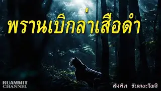 พรานเบิกล่าเสือดำ | เรื่องเล่าจากพรานเก่า