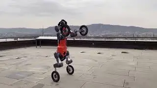 ANYmal The All Terrain Robot Worker Redefining Jobs Across Industries