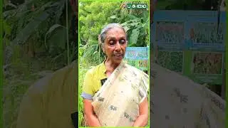 செல்லப் பிராணிக்காக உருவான தோட்டம் | Shantha sheela Nair IAS | Pasumai Vikatan