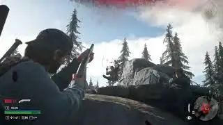 Days Gone - Flying NPCs