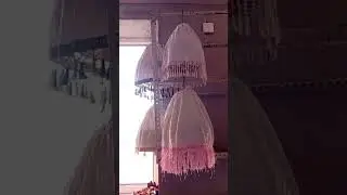 ВИТ ВИТ БЕДАНА