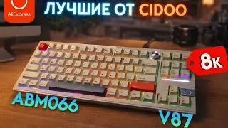 CIDOO v87 and CIDOO ABM 066 Best for the money?