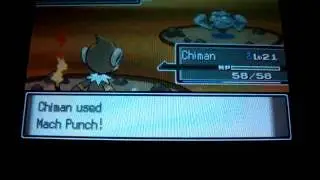 Pokemon Platinum Part 7 Eterna Forest