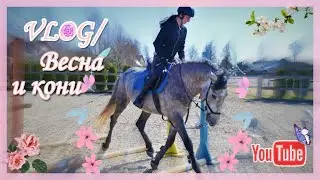 VLOG / Пока весь мир на карантине