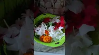 #minivlog-54 #shorts. রথ যাত্রার শুভেচ্ছা