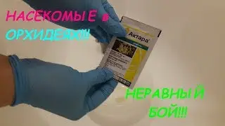БОРЬБА С НАСЕКОМЫМИ В ОРХИДЕЯХ!!! Мой ОПЫТ и РАЗОЧАРОВАНИЕ!!!