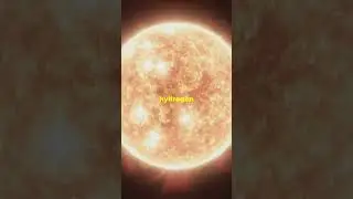 A Star's Epic Journey: Birth, Shine, Die!