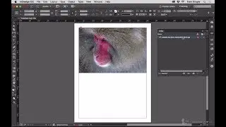 Copying the Path of Missing Links - InDesign Tip of the Week
