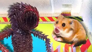 🐹👽Alien Hamster Maze with Traps 😱[Obstacle Course]😱 + BONUS | Awesome Hamster Escape