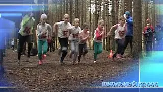 Школьный кросс