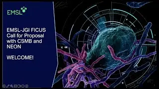FICUS Webinar: “Shining a Light: Advanced Photon Source Capabilities for FICUS Research”