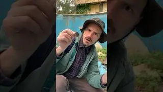 Раскопки / восстанавливаю старинное кольцо