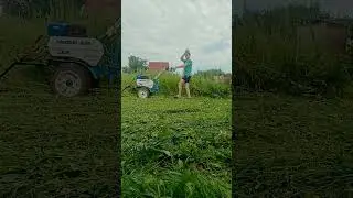 ПРИЯТНО ПОСМОТРЕТЬ КОГДА ПОРЯДОК, МОТОБЛОК И КОСИЛКА ЗАРЯ #мотоблок #нева