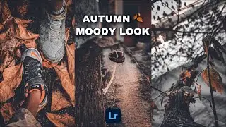 How To Edit Moody Autumn Photo | Cinematic Autumn Lightroom Preset.