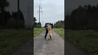 ПРОВОЦИРУЮ АЛАБАЯ