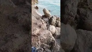 ❤️🔥 Punta Rata beach Brela- Croatia #travel #travelvlog #croatia
