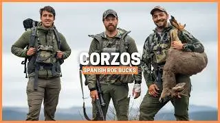 Where to Find the Biggest Roe Bucks in the World | Hunting Adventure in Spain 🇪🇸