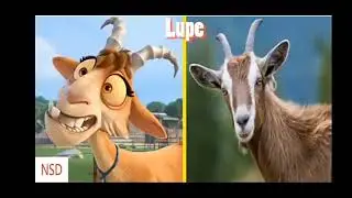 Ferdinand in real life 2018