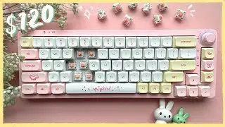 Building a Budget Keyboard ✨ GamaKay LK67 + Feker Holy Panda Switches Review CoolRiceBunnies