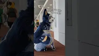 Cats be like 🐈