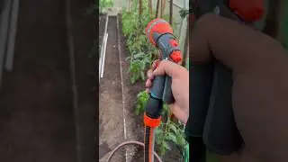 24.06.24 