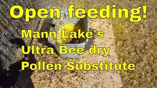Open feeding Mann Lake's Ultra Bee dry Pollen Substitute - That Bee Man