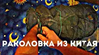 Раколовка из Китая! Купил на taobao.com