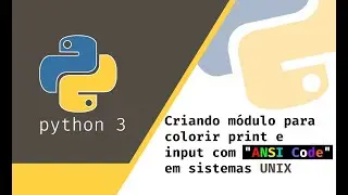 #12 - Criando módulo para colorir print e input no Python (ANSI Code)