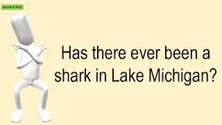 Has There Ever Been A Shark In Lake Michigan?