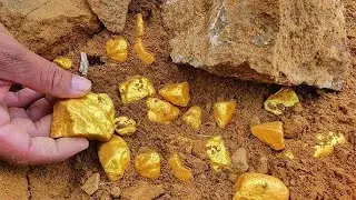 Amazing finding and digging a lot TREASURES GOLD by detector to search