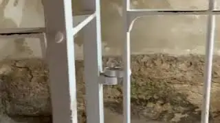Гробниця пуста, Христос Воскрес!