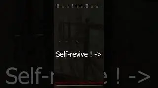 Self revive exploit in Hunt Showdown