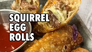 Squirrel Egg Rolls
