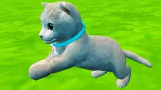 Симулятор Кота #7 Карусели и Аттракционы с Серым котенком в Cat Simulator Kitty Craft на пурумчата