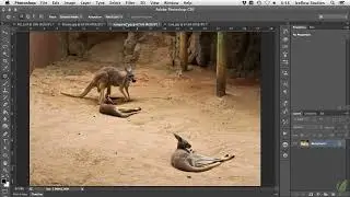 Photoshop Tutorials Content Aware Patchand Move