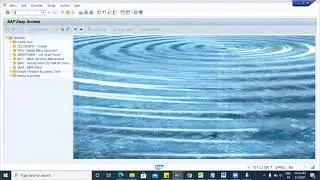 SAP ABAP Class 5:  TOC Transport of Copies: Real time scenario