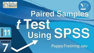 How to do a Paired Samples t Test in SPSS (11-7)
