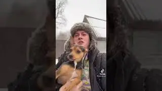Когда мама отправила гулять с собакой #shorts #tiktok